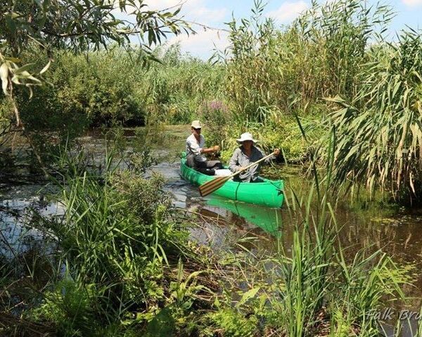 Ture cu canoe în Delta Dunării