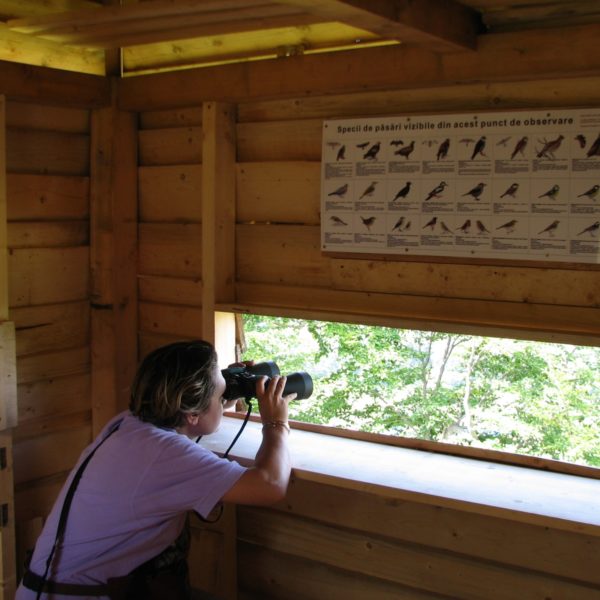 Eco Maramureș: 10 experiențe ecoturistice în inima verde a Maramureșului istoric