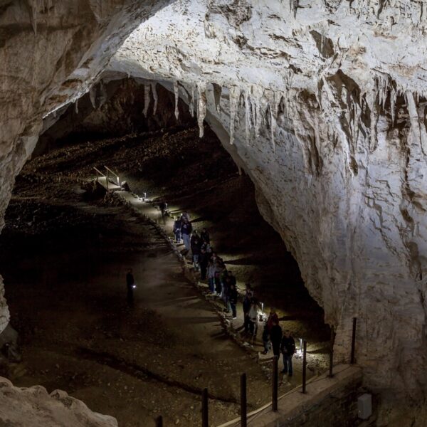 Peștera Meziad, Pădurea Craiului