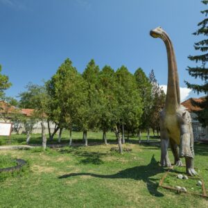 Tara Hategului-Magyarosaurus-Dacus-Copyright-Dan Dinu